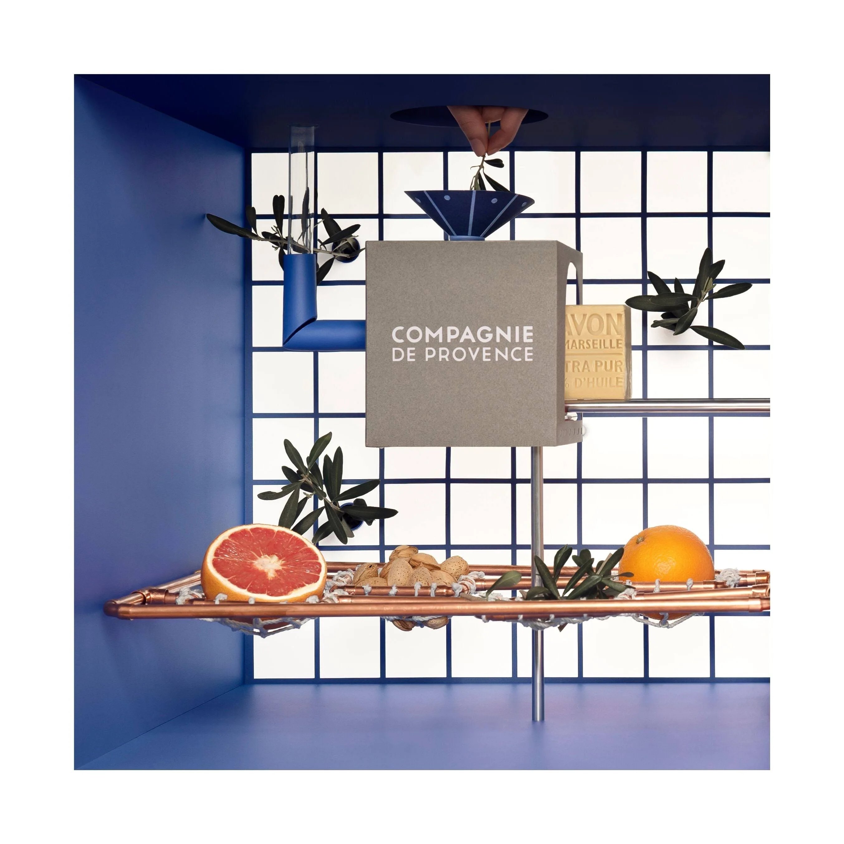 Ein Regal mit Compagnie de Provence Seife, Grapefruit, Ingwer und Olivenzweigen vor einem blauen Hintergrund.